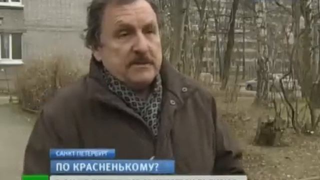 Над Петербургом летают стаи пьяных свиристелей 21 ноября 2012 года смотреть онлайн