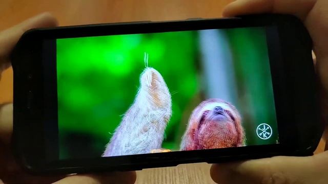 Oukitel WP12,  NFC. Отзыв о смартфоне