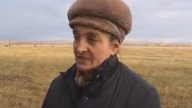 В Краснокамском районе сельское хозяйство