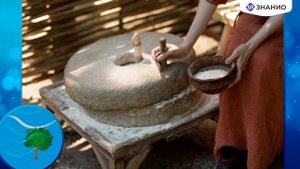 Классный час на тему «Энергия и энергосбережение. Бережем энергоресурсы вместе»