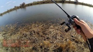 Твичим щуку с монолеской, мультипликаторной снастью.