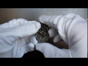 Фалеристика. Знак. Союз сельскохозяйственных и лесных рабочих СССР.