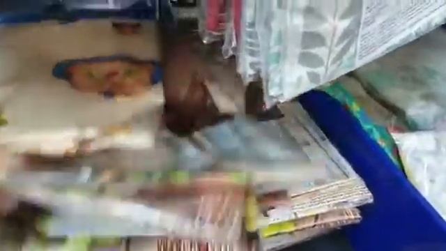 FIX PRICE ЗАБИЛ СВОИ ПОЛКИ НОВИНКАМИ смотреть онлайн