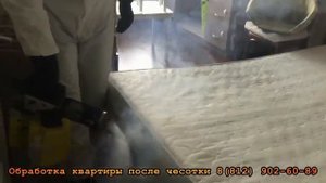 Обработка квартиры от чесоточного клеща