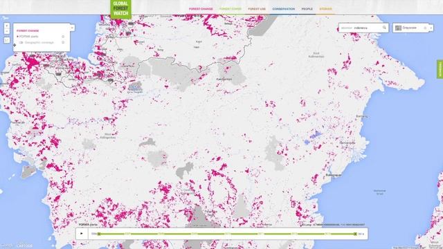 GFW Tutorial | Map