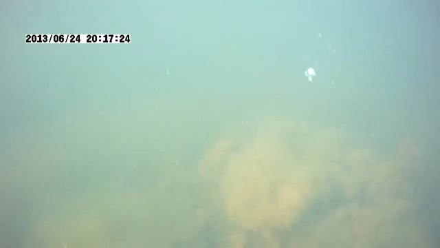 Подводная охота Лангепас 1 (окунь гр 900) смотреть онлайн