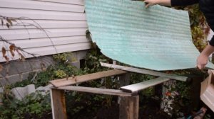 Как укрыть розы на зиму: самый верный способ