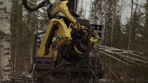 Отзыв Устянской лесозаготовительной компании о харвестере на базе экскаватора John Deere E 240 LC