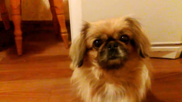 Видео о себе смотреть онлайн