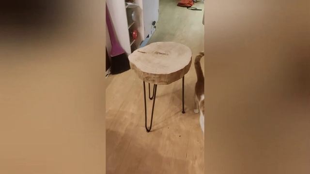 Стол из спила дерева. Часть 2.