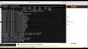 Instalacja mongoDB - Linux - tarball (Install Mong