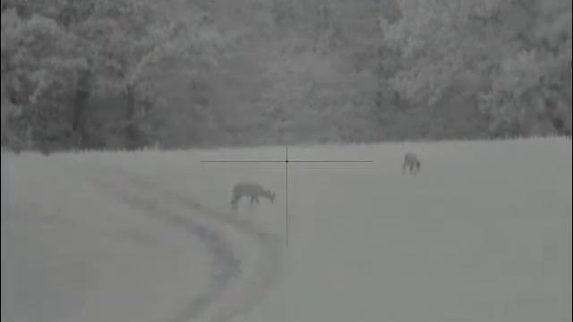 pulsar n 355 200m смотреть онлайн