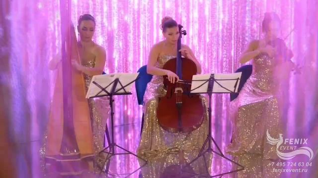 Заказать струнный коллектив на мероприятие в Москве-лучшее акустическое трио на праздник и встречу г