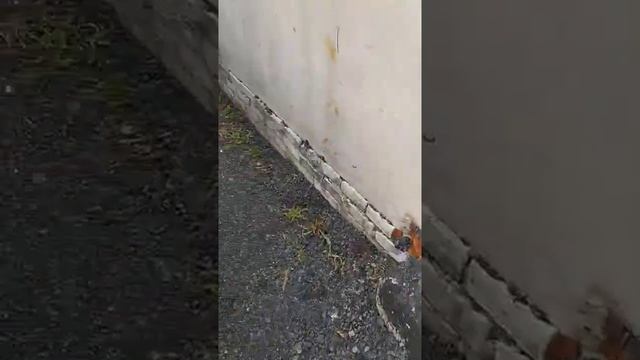 Плавающий крепёж тормозных дисков vs жёсткое болтовое соединение. Наглядно на практике.
