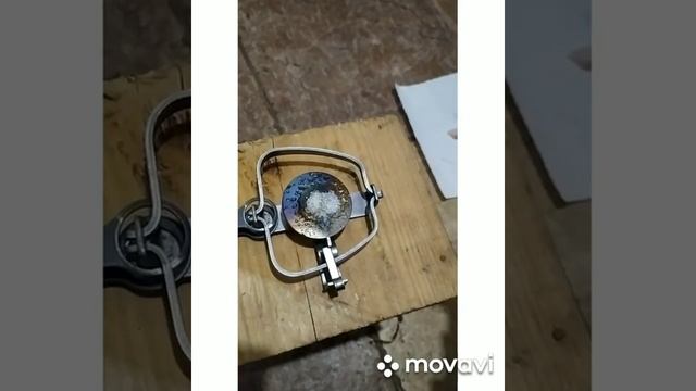 Ловля крыс , капкана ✓0. смотреть онлайн