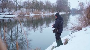 Как ловить окуня по холодной воде? Лучшие зимние проводки и анимации приманки.