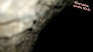 Кроличья нора. Кролики в яме. Яма для кроликов.