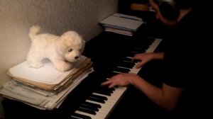 Подмосковные вечера (jazz piano)