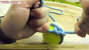 Мячик на верёвке. Игрушки для собак своими руками.