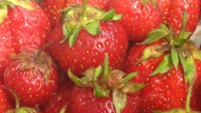 Ягоды клубники 2017 года смотреть онлайн