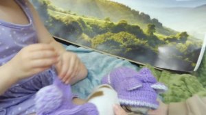 Костюм для Велеса примерили на его БРАТА 02.06.23 ПРОДАЮ щенков  +7 921 595 08 48 #купитьчихуахуа