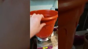 пресс для масла .выжимаем подсолнечное масло в домашних условиях