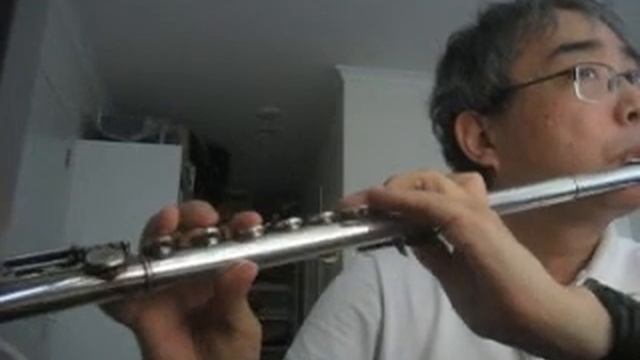 Mozart - O Gottes Lamm (O God Lamb) KV 343 - Pearl Nickel Flute смотреть онлайн