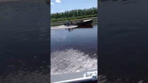 мотор тояма9.9 лодка таймень340нднд против микацу9.9 на казанке