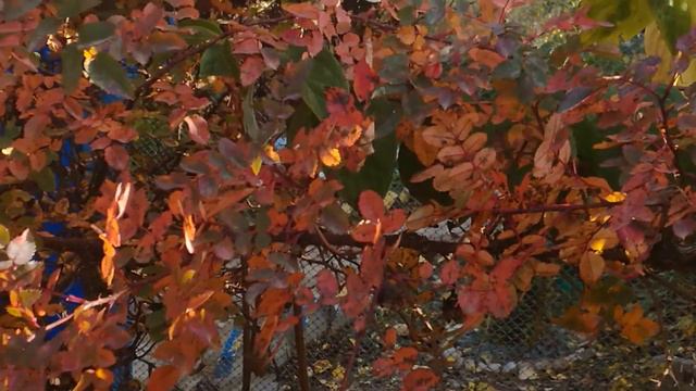 Пора — очей очарования. смотреть онлайн