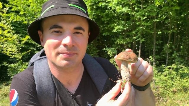 Пошли подберезовики и белые грибы в Закарпатье