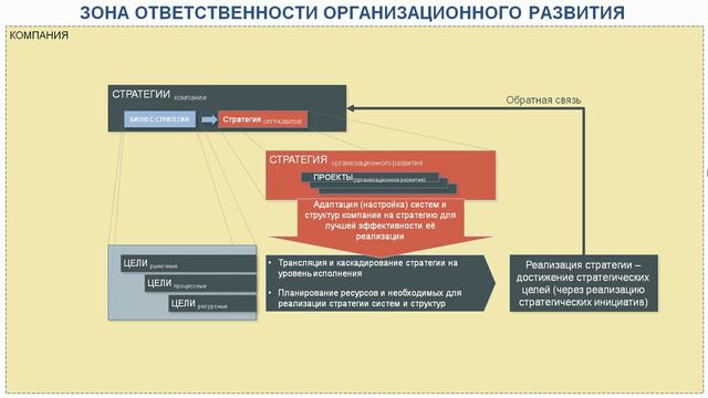 Зона ответственности организационного развития смотреть онлайн