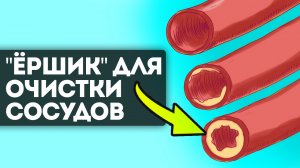Эти продукты спасут сосуды после 50 лет! Как очистить сосуды и облегчить работу сердца