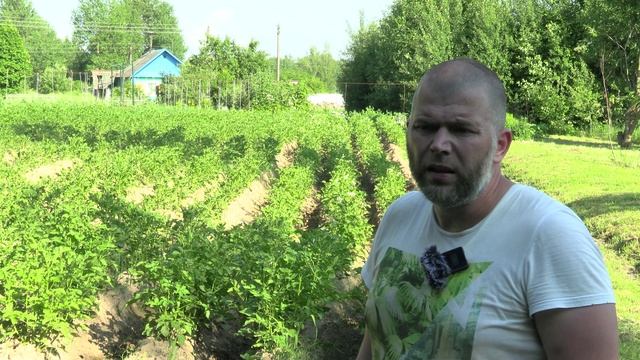 Отчет по посадке картошки. Что с овчаркой Одином, дермоид роговицы у собак, последствия. смотреть онлайн