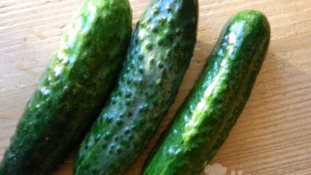 Малосольные огурцы с луком