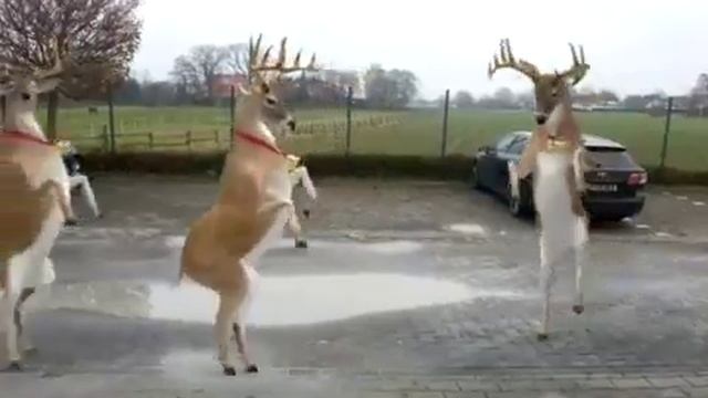 Вот как на новый год поздравляют нас олени смотреть онлайн