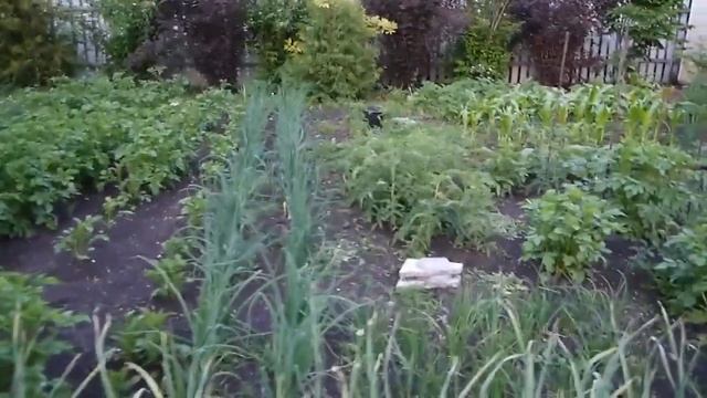 Ландшафтный дизайн участка . Красивый сад своими руками. смотреть онлайн