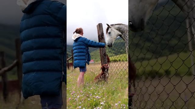 Лошадь укусила за плечо #жизньвгорах #путешествия #севернаяосетия #турвгоры #хочувгоры