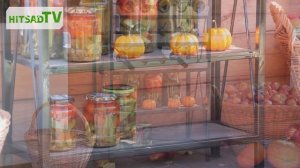 Хранение овощей и фруктов. Ящики для хранения - особенности, какие лучше?