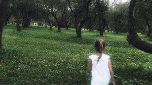 'Ария'  Бразильская бахиана № 5 Эйтора Вила Лобоса