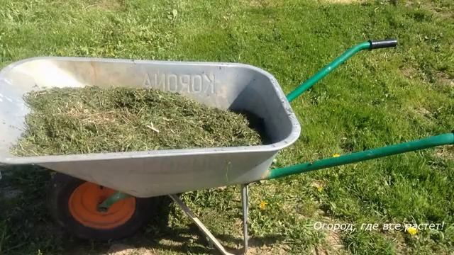 Правильная посадка капусты - залог больших кочанов.mp4 смотреть онлайн