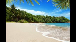 море пальмы и песок.Успокаивающая музыка для души. Sea, palm trees and sand. Soothing music