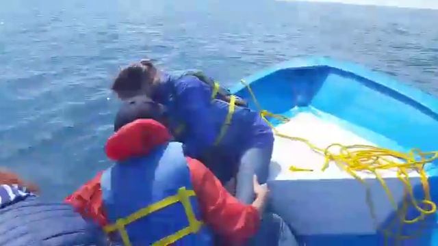 Охренеть!!! Киты нас чуть не съели!!! смотреть онлайн