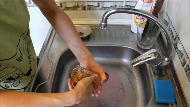 Как прорастить овёс для кошки смотреть онлайн