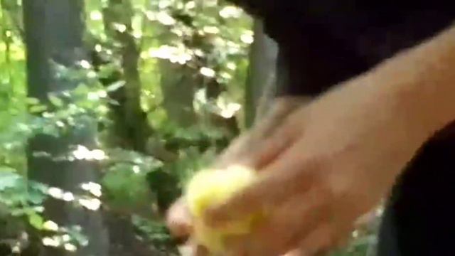 ⛏️ ЗАКОПАЛ СВОИ ВЕЩИ ПОД ЗЕМЛЮ НА ОДИН ГОД! смотреть онлайн