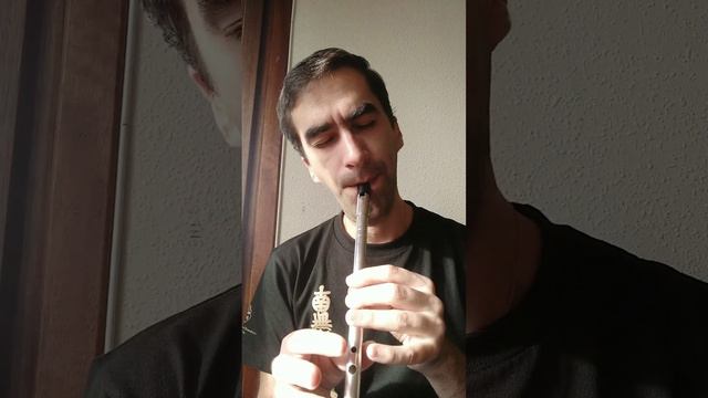 Rurouni Kenshin (anime medley) - tin whistle смотреть онлайн