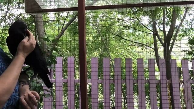КАК ПРОВЕРИТЬ СИЛУ ДУХА?