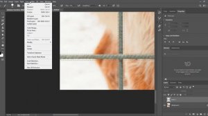 how to remove fence with 3 simple steps in photoshop 2021 online free