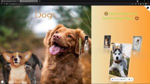 Dog Landing Page Website Design using Html(Pug) , Css(Stylus) & Javascript | 3D ANIMATION