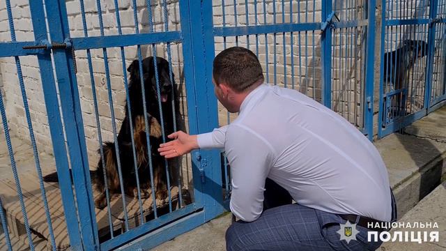У миколаївському кінологічному центрі поліцейські розпочали модернізацію матеріально-технічної бази