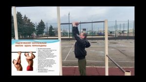 Виды подтягиваний и их влияние на мышцы